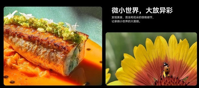 华为Mate60 15个超酷体验？难怪花粉不离不弃