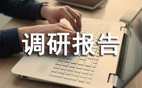 互联网调研报告（精选5篇）