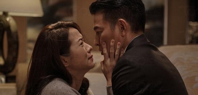 刘德华的对手_刘德华的经典对手戏与合作_刘德华的戏