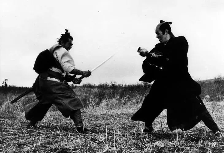 元彪武打电影国语版_元彪为武打电影带来的影响_元彪武打片