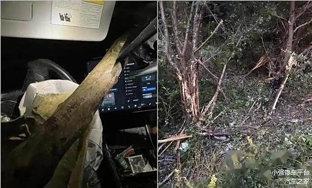 特斯拉安全评测_车主如何看待特斯拉的安全表现？_如何看待特斯拉的安全性
