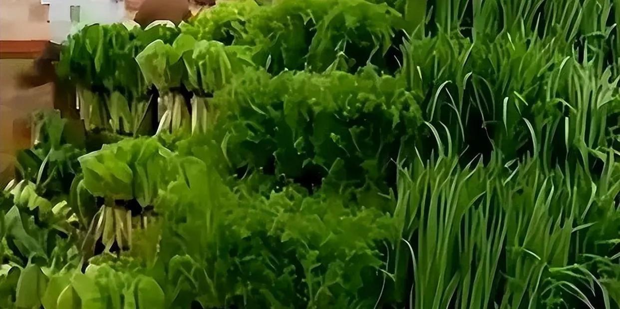 胖东来老板于东来现状_胖东来供应链系统_胖东来：供应链管理中的质量控制先锋