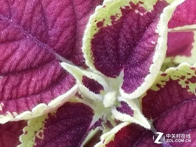 小米手机评测_小米性能手机排行_小米手机的维度评测：性能与口碑并肩
