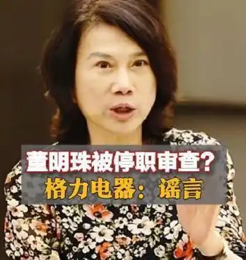 格力电器总裁董明珠所著_格力董明珠最新新闻_格力电器在董明珠停职审查后的市场表现及其应对策略