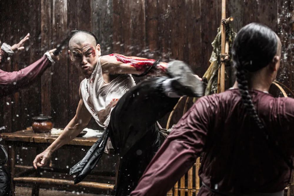 甄子丹的影视作品市场分析_甄子丹电影公司_甄子丹票房总结