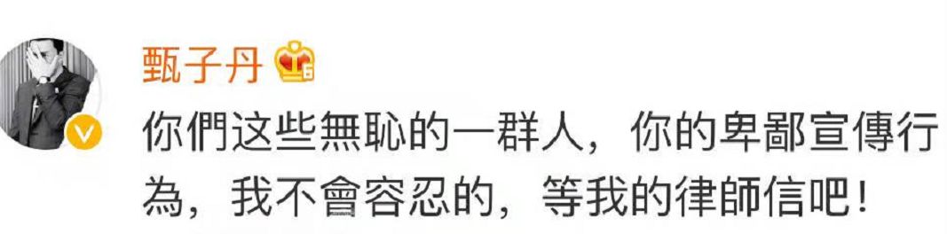 甄子丹电影导演_甄子丹的影视作品市场分析_甄子丹播放量100亿