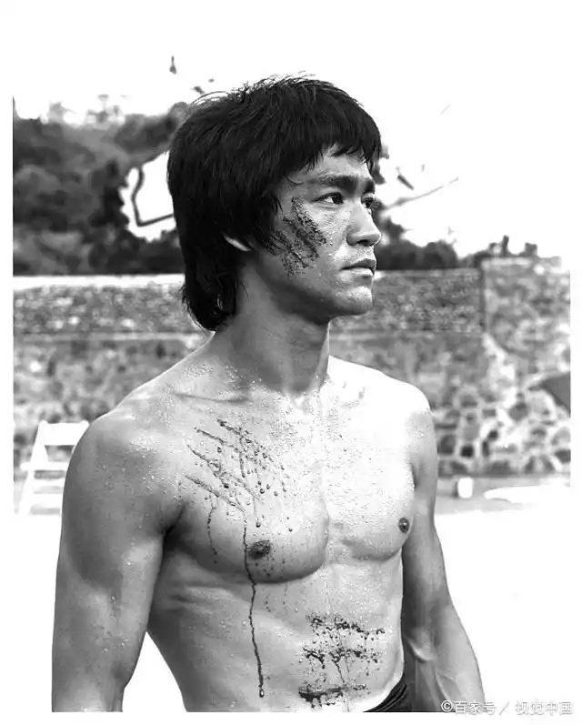 元彪与李小龙的武术传奇_武术李小龙传奇元彪演员表_李小龙与元彪