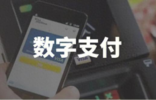 隐私加密货币_隐私性最好的加密货币_去中心化与用户隐私：数字货币的双重优势