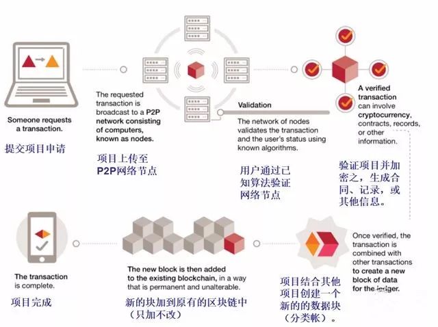 研究虚拟货币在社交企业中的应用：促进社会与经济双重价值的创造_双重货币制度_货币双重使用价值