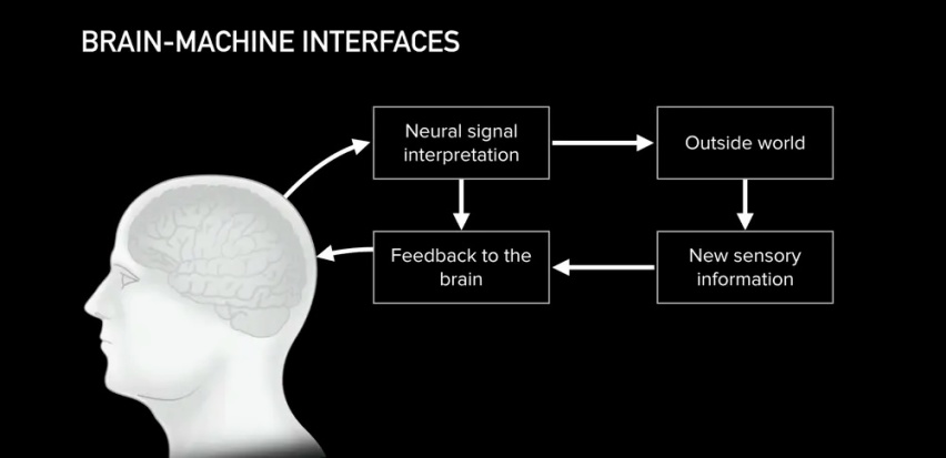 6 个月后，马斯克要将 Neuralink 植入你的大脑
