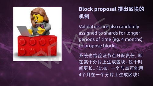 以太坊的生态系统：去中心化应用如何推动社区发展_以太坊社区_以太坊生态社区是什么