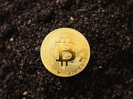 币信月账户 币信怎么用