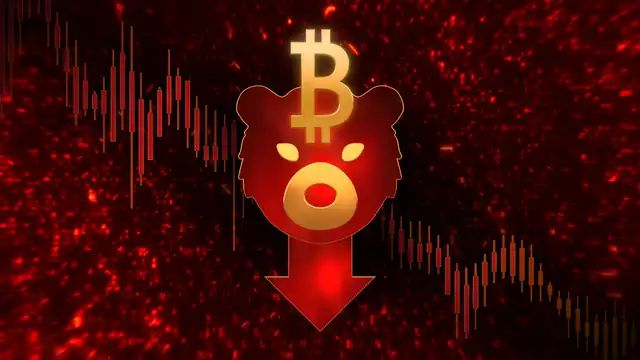 短期回报率高的投资_分析长期持有与短期交易在数字货币市场的风险与回报_短期回报和长期回报