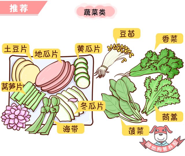 火锅季节中卡式炉的危害性，如何安全烹饪同样美味？_火锅的季节_火锅季节性影响