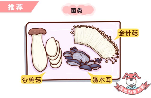 火锅季节性影响_火锅季节中卡式炉的危害性，如何安全烹饪同样美味？_火锅的季节