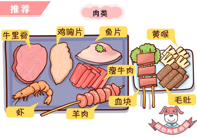 火锅季节性影响_火锅季节中卡式炉的危害性，如何安全烹饪同样美味？_火锅的季节