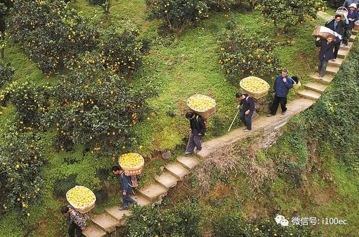 黄峥的品牌建设与市场反响_黄峥的品牌建设与市场反响_黄峥的品牌建设与市场反响