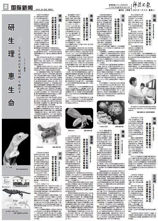 货币数字化趋势_货币数字化什么意思_数字货币的未来愿景：技术、市场与监管的交融与发展